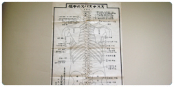 山田式整體術の骨格図